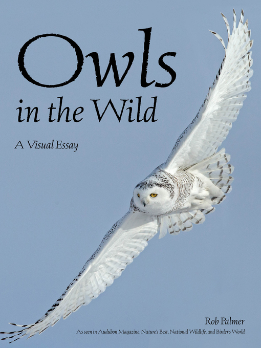 Upplýsingar um Owls In the Wild eftir Rob Palmer - Biðlisti